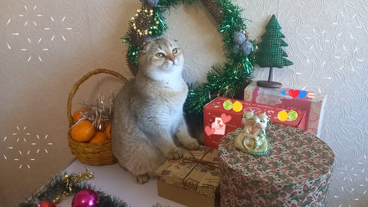 Волшебный праздник