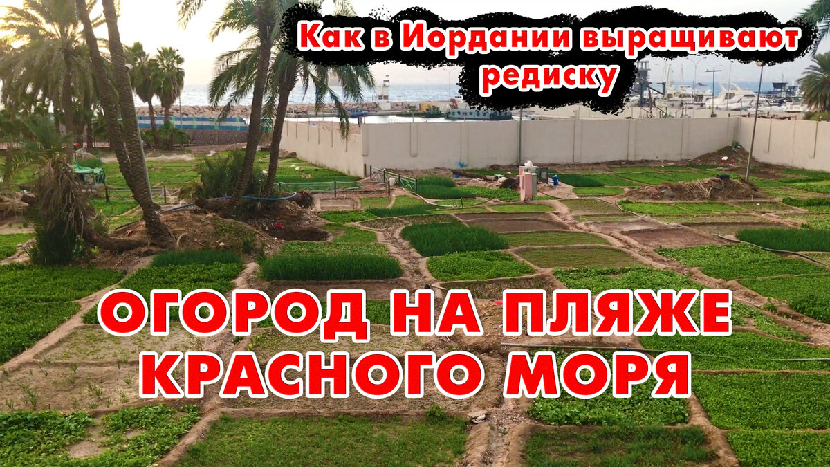 Огород на море