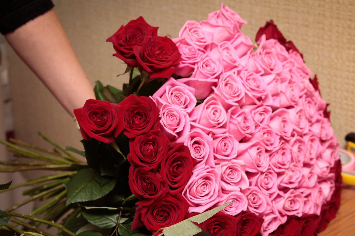 Яндекс.Картинки.