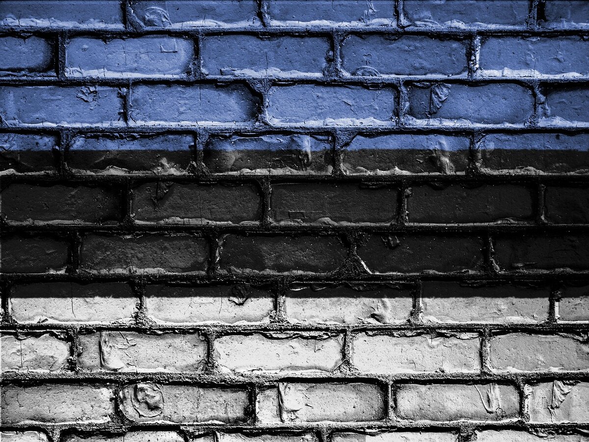 Estonia Изображение David Peterson с сайта Pixabay