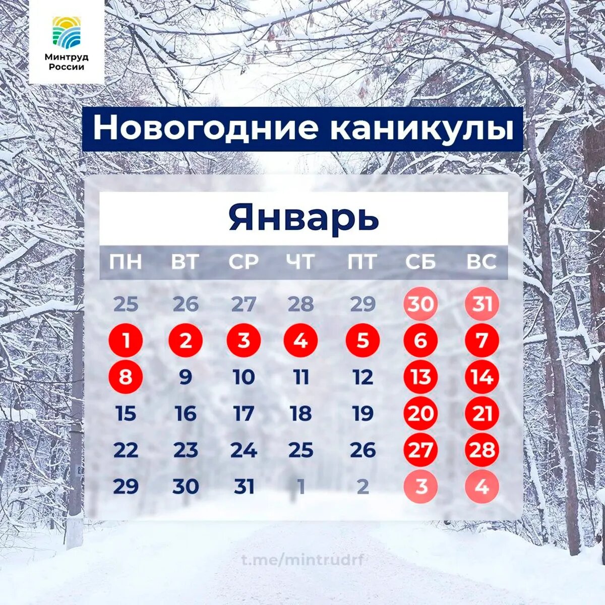 Школьные каникулы в 24 году