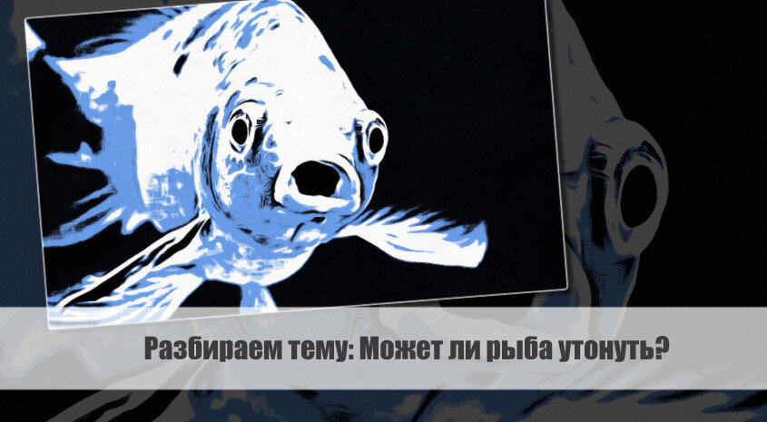 Разбираем тему: Может ли рыба утонуть?