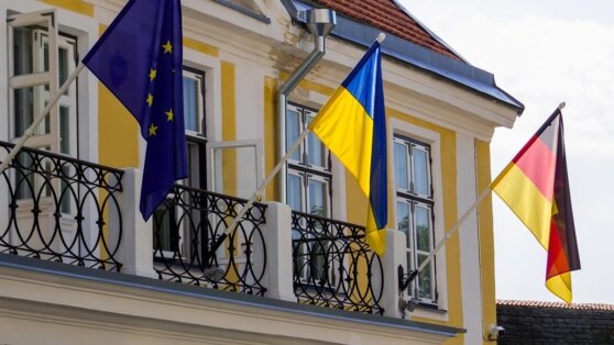    Министр: законы Германии не позволяют выдавать украинцев для службы в ВСУ Алина Городниченко