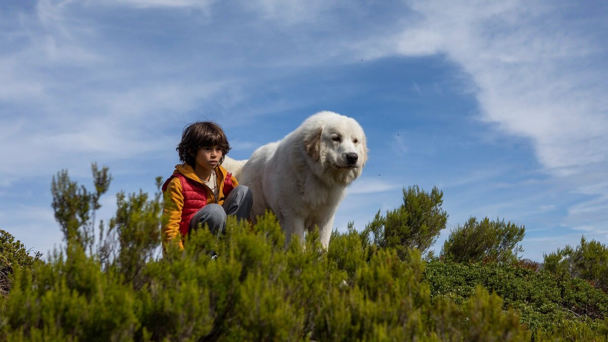 Кадр из фильма