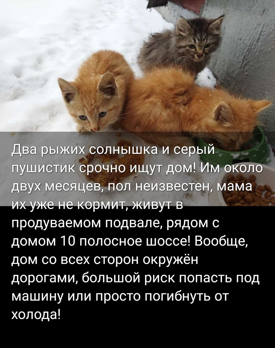 Вот мой пост 