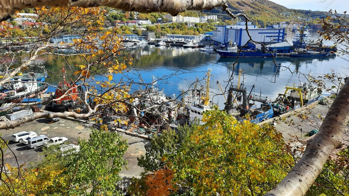 Авачинская бухта — пассажирских судов не замечено. Фото: Маргарита Малинина