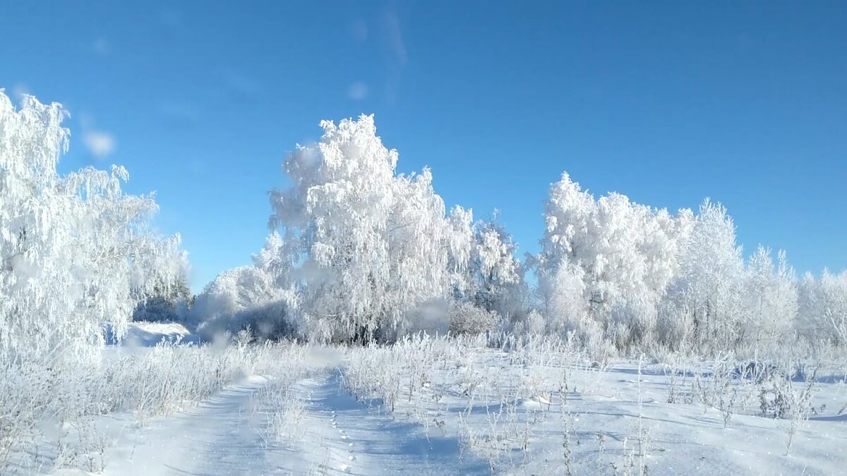 Виктор Михайлов