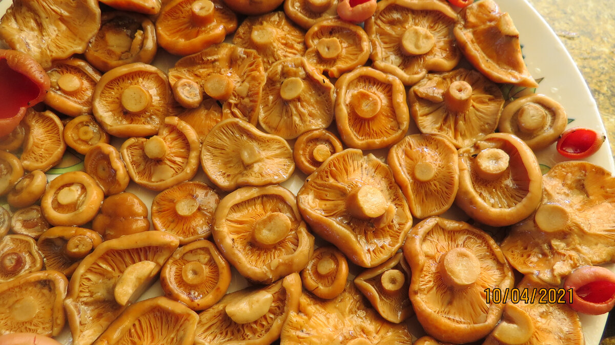 Предпочитаю бланшированные и малосоленые. На фото сосновые рыжики , сохранить их до апреля в таком виде помогает стерилизация соленых рыжиков через неделю после засолки. Вкус и цвет свеже соленых сохраняется. Фото автора.