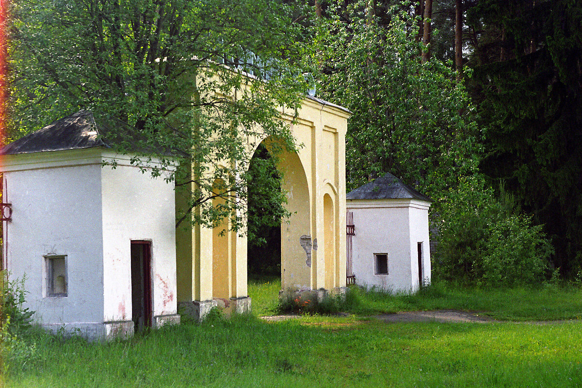 Волейбол в бору. 23 фото. Листайте.