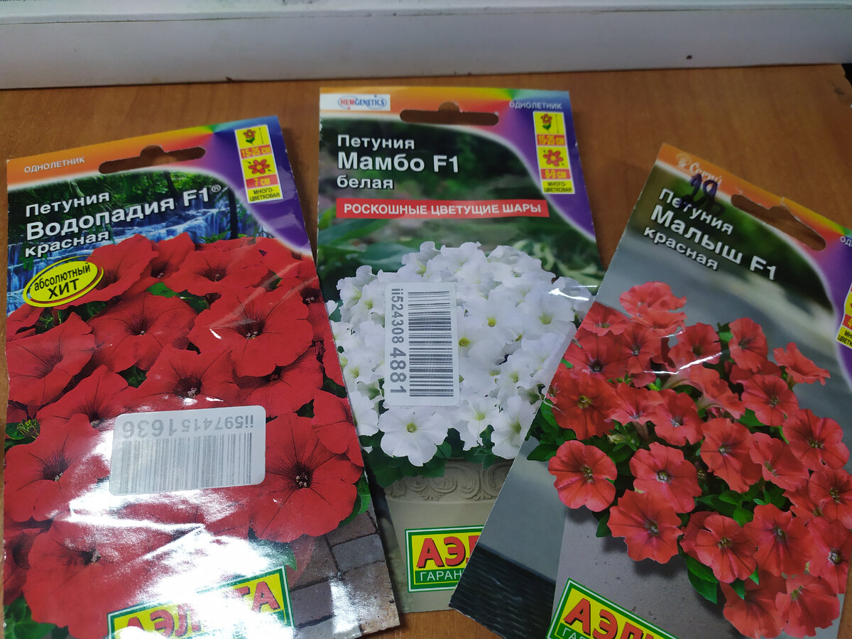 Модифицированные семена петунии