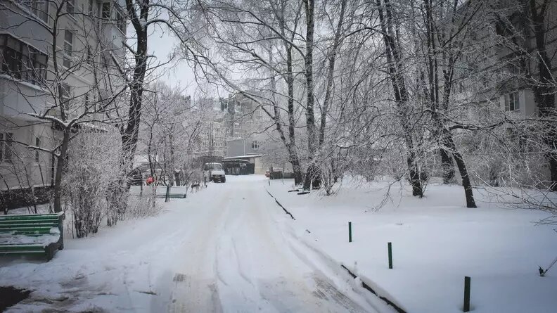     В Ростовской области на Рождество ожидается пасмурная погода с мокрым снегом, сообщили синоптики.