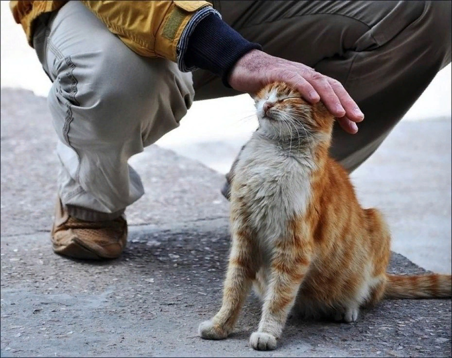 День чего либо