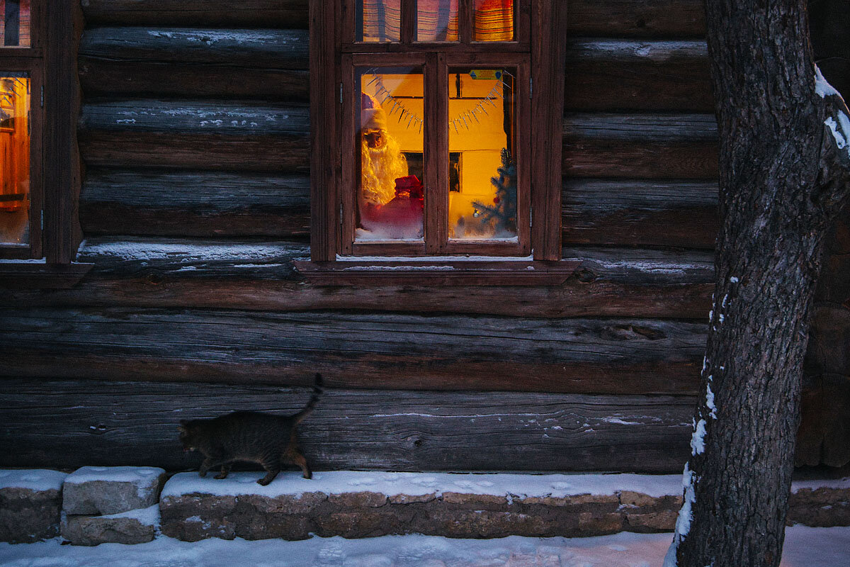 Фото: dycpoisk.ru                                                                                                                                                                                                                                                                                                                                                                                                                                                                                                                