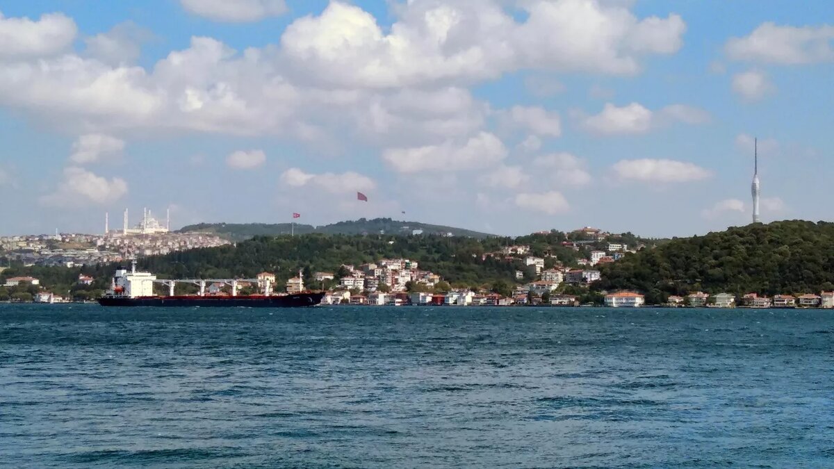© Sputnik / Бурджу Окутан