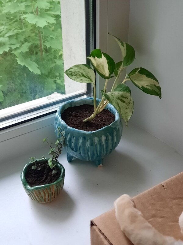 Тот что побольше - Федя