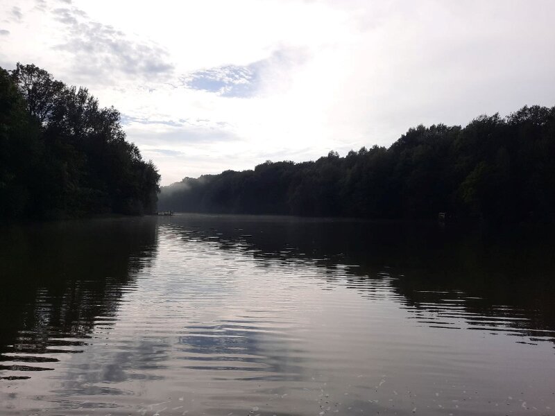 Такая благодать после дождя - от воды парит, тишина, людей нет и птицы неуверенно перекликиваются...