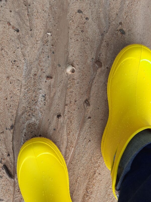 Надела сапожки - в самы раз по сырости гулять