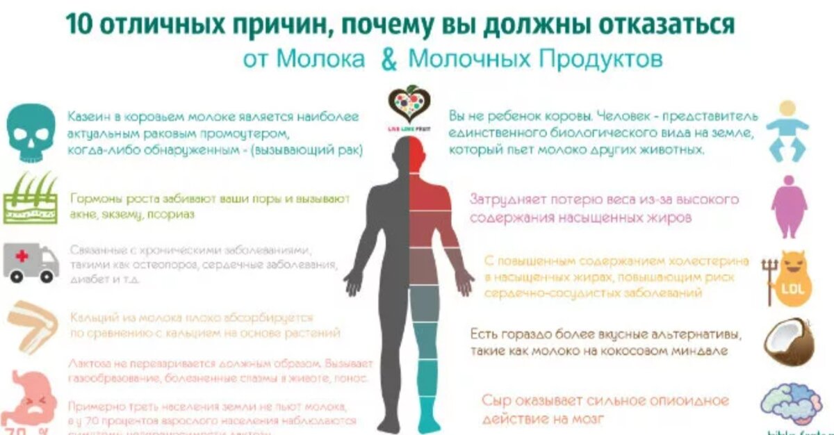 Организм VS молоко. Непереносимость лактозы – причины, симптомы, анализы | Медлаб