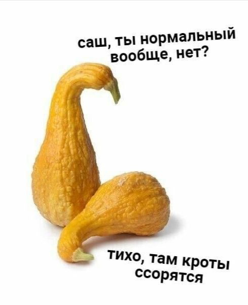 Бывало или бывшее. Бывало или бывшее