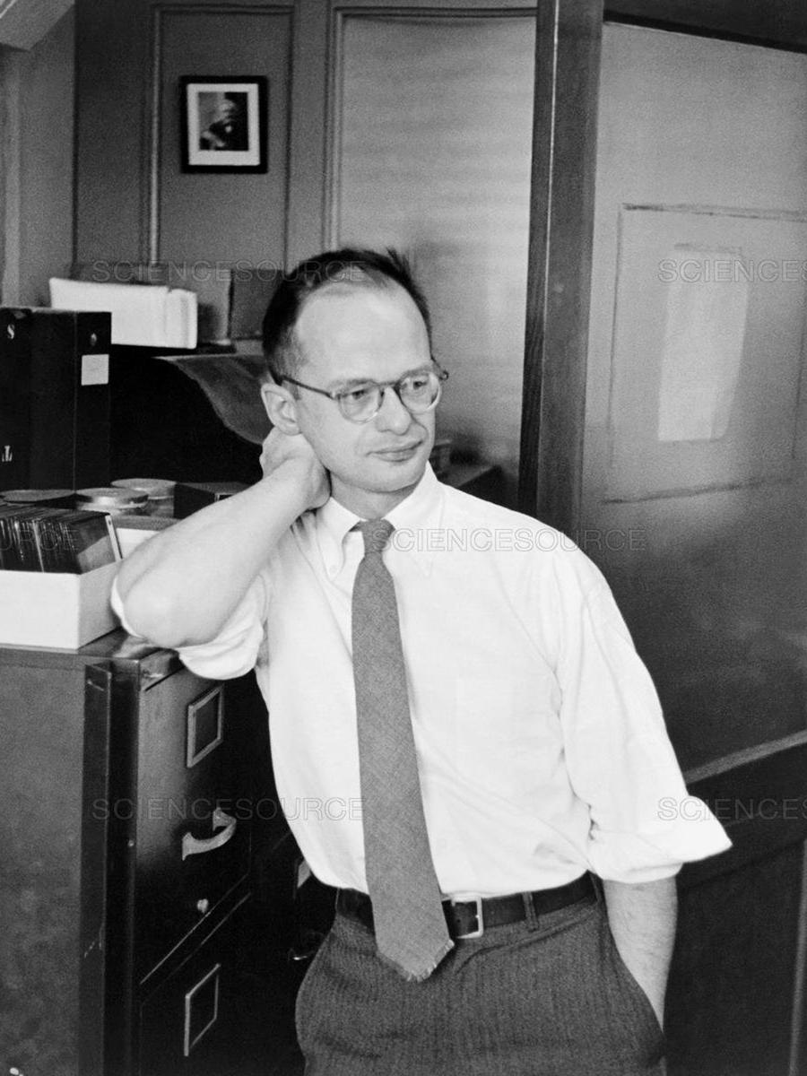 Уолтер Питтс