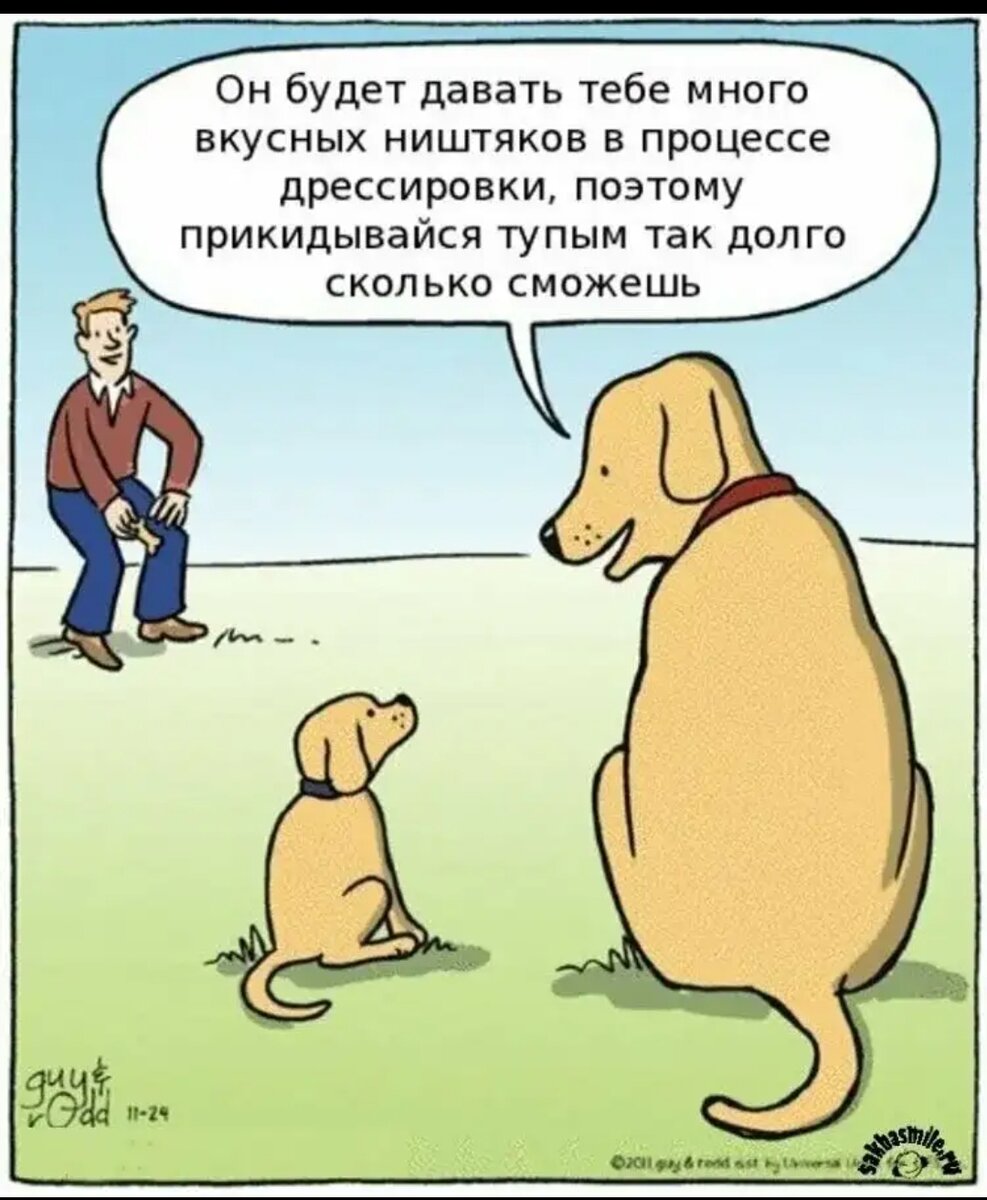 Фото из свободного доступа.