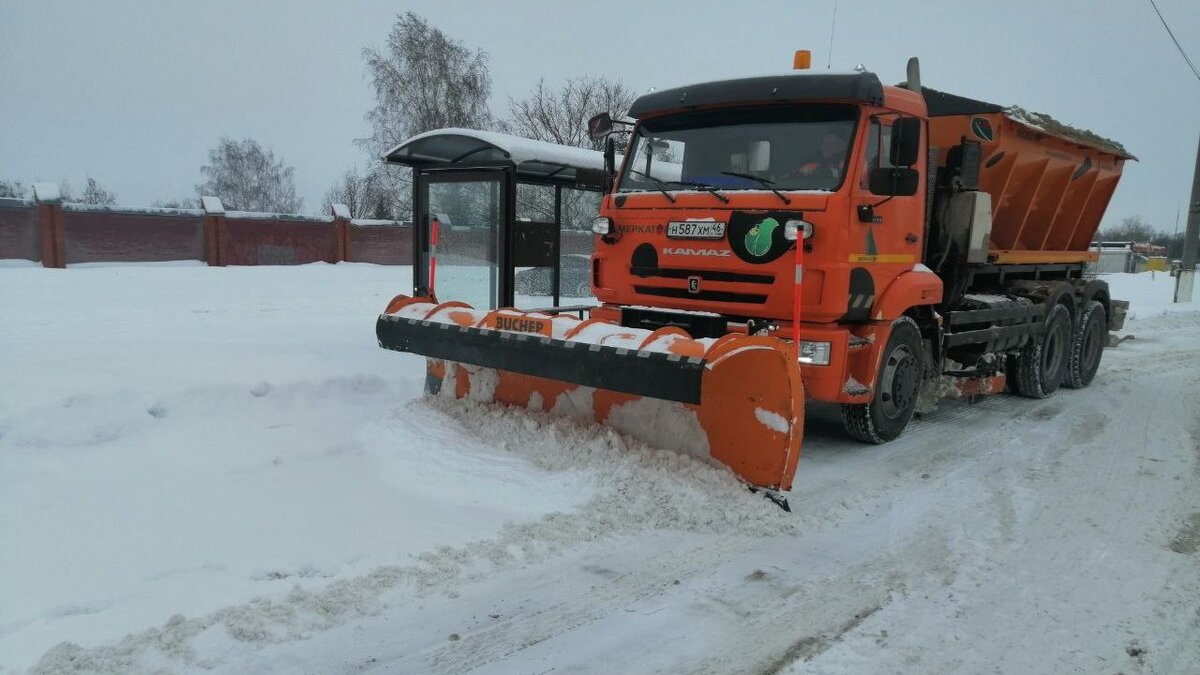 Прогноз в курском