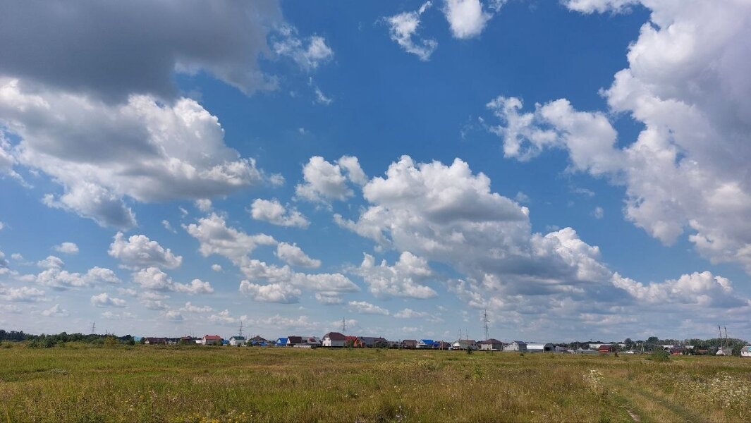 12. Размышления о заборах и учебниках по физкультуре | Из "Мордора" с ...