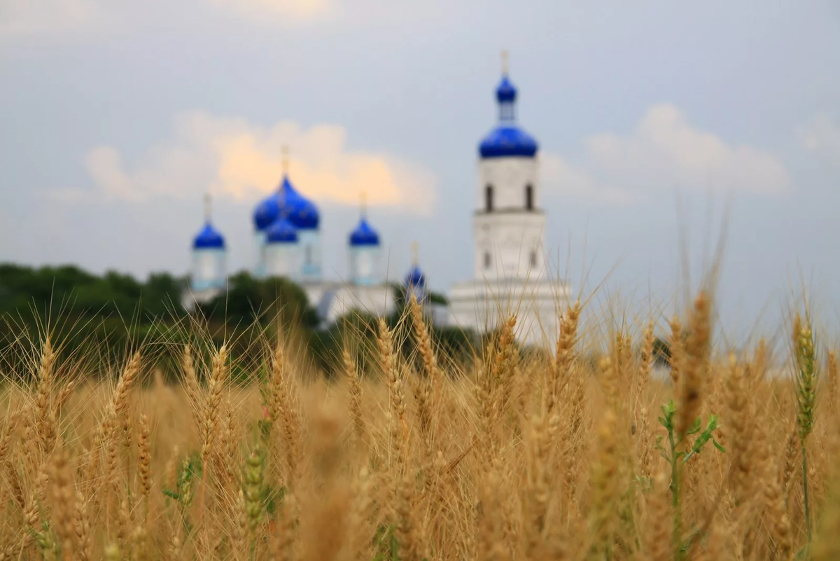Хочу помочь сельским храмам, куда можно перевести деньги?