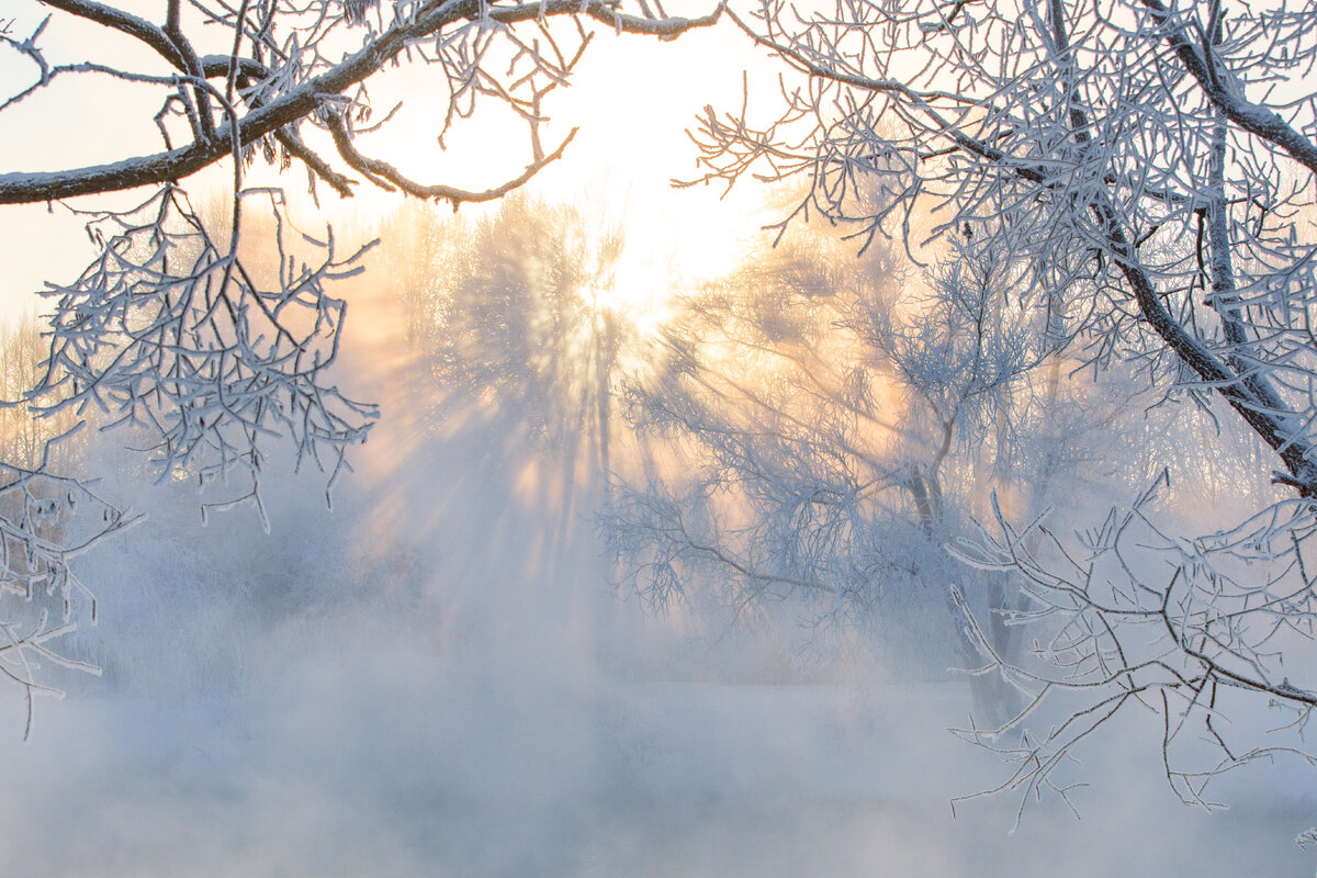 Санкт-Петербург. Фото автора.