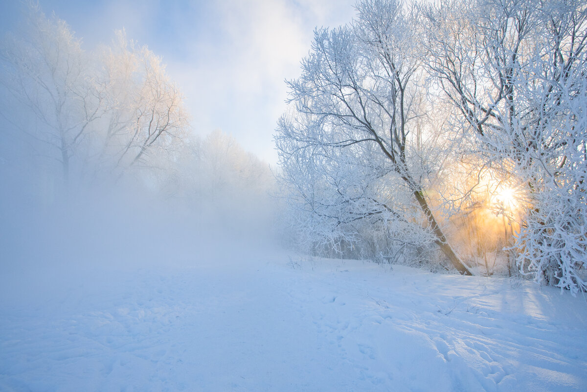 Санкт-Петербург. Фото автора.