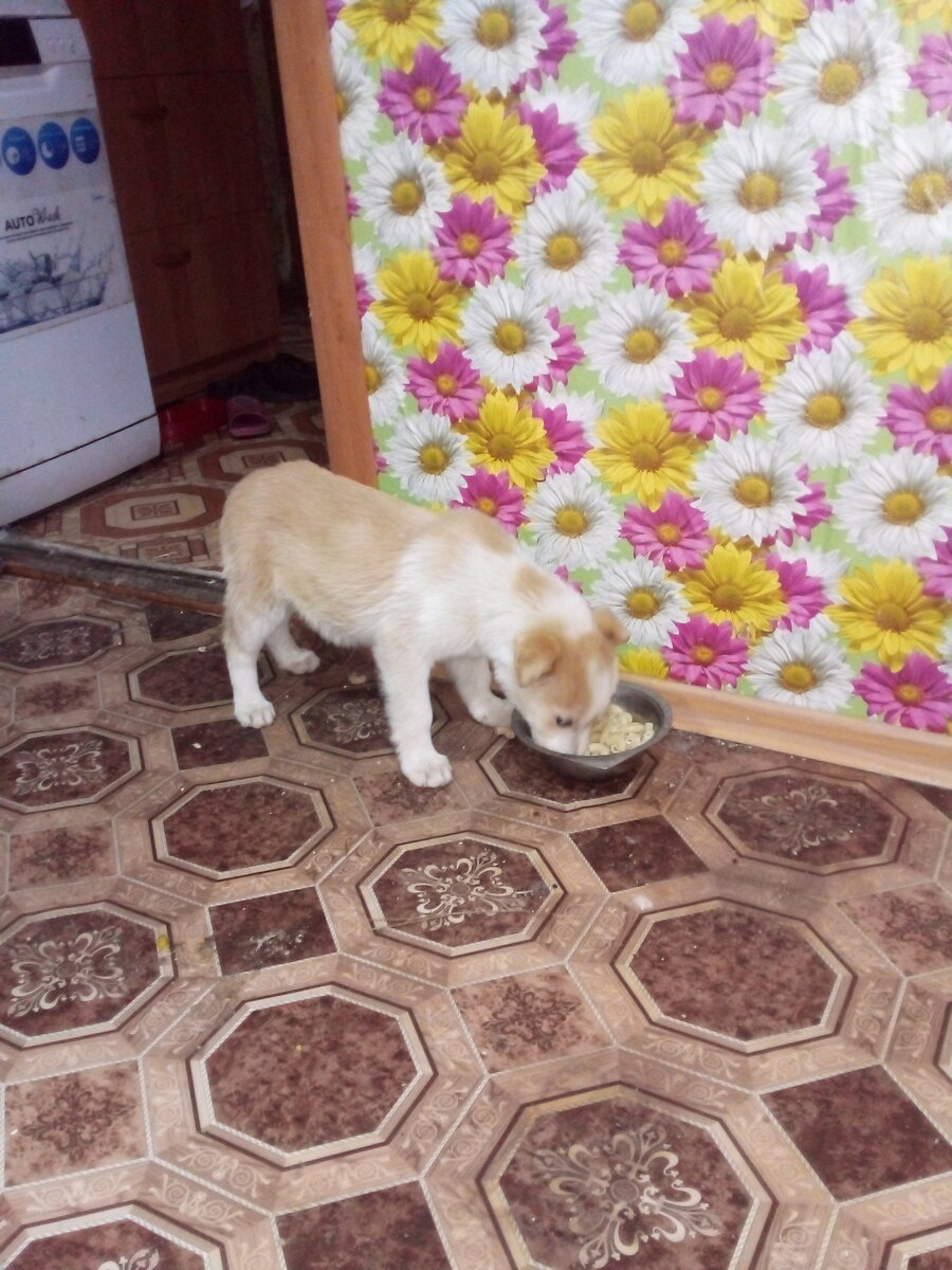Наш новый друг Джек