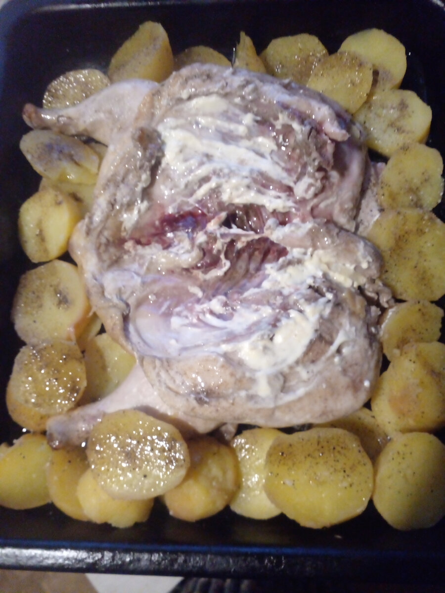 Этнокомплекс атамань. Станица раздорская ростовская область. Станица качество. Станица качество. Станица 35 ростовская область.