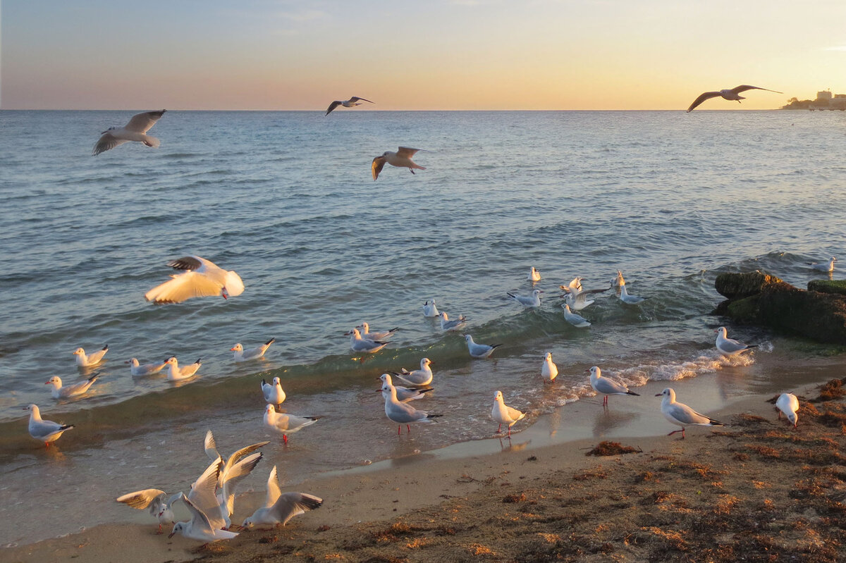 Вода крыма евпатория