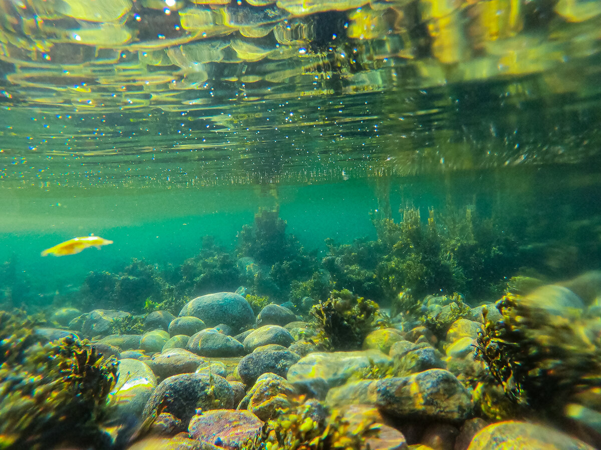 Тренировочные задания часть 1