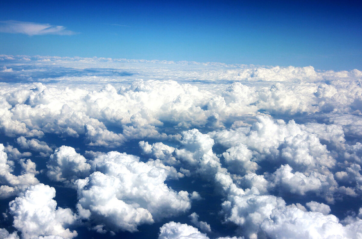 #таро#ошодзентаро#значениетаро#толкованиекарт#всеобъемлющаяиградзен#tarot#контроль#тародзен#control#мастьоблаков#oshozentarot#oshozen#oshotarot#дзентаро#ошотаро#ошотаро#minorarcana#корольоблаков#таро#ошодзентаро#значениетаро#толкованиекарт#всеобъемлющаяиградзен#tarot#контроль#борьба#ум#мораль#шизофрения#замороженность#откладывание#сравнение#бремя#политика#вина#печаль#перерождение#сознание#облака#творец#тародзен#control#morality#fighting#mind#schizophrenia#iceolation#postponement#comparison#theburden#politics#guilt#sorrow#rebirth#consciousness#корольоблаков#королеваоблаков#рыцарьоблаков#пажоблаков#мастьоблаков#oshozentarot#oshozen#oshotarot#дзентаро#ошотаро#ошотаро#minorarcana