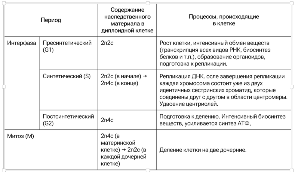 Благодаря митозу хромосом в клетках тела. Благодаря митозу хромосом в клетках тела. Профаза метафаза анафаза телофаза набор хромосом. Деление хромосом в клетке. Митоз непрямое деление клетки.