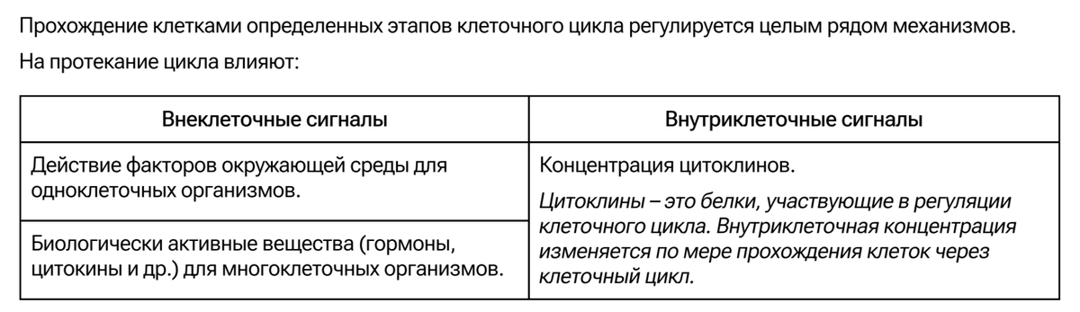 Расхождение хромосом в митозе