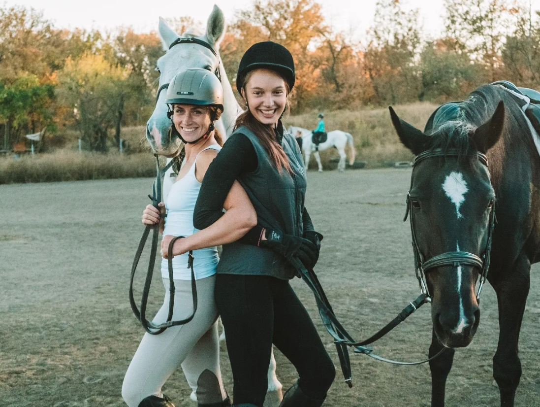 Соловьиная роща лошади. Фургон для лошадей. Traveller (horse). Horse travel. Horse travel, ростов-на-дону.