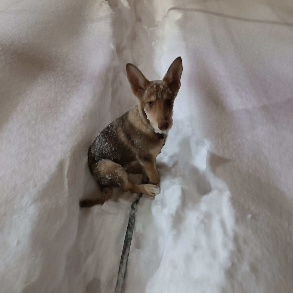 На тропинке 