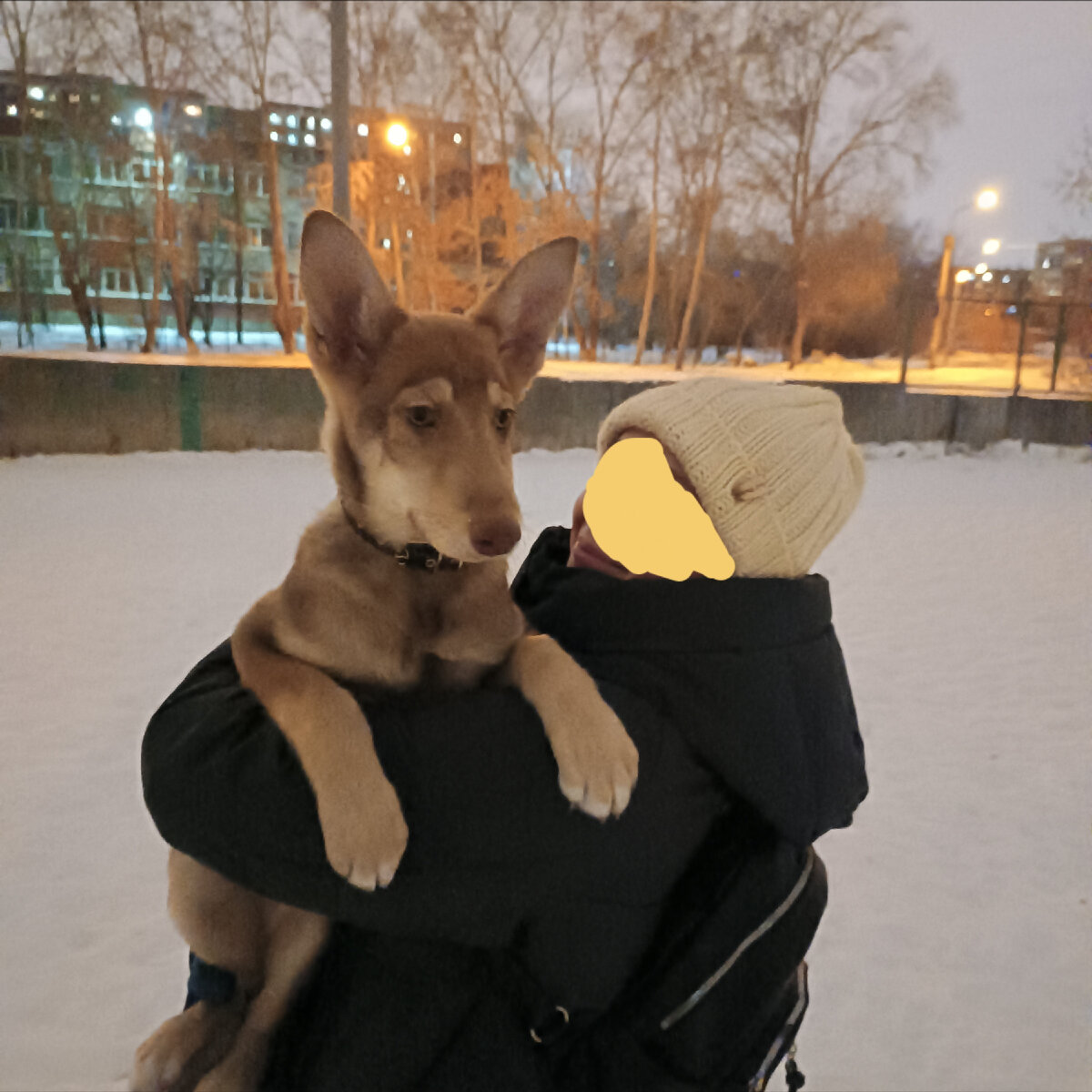 Иринка и Филя