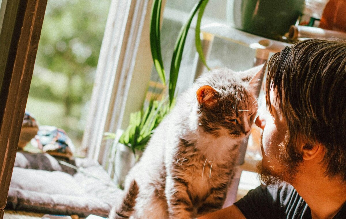 позитивный разговор с самим собой