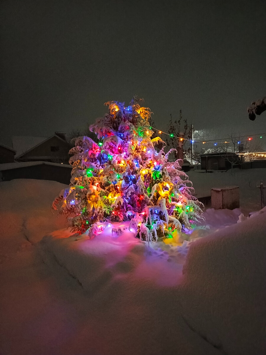 Елочка 31 декабря 2023 года.