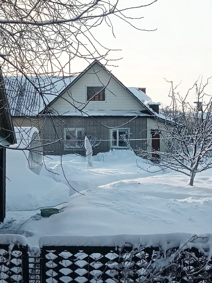 Фото нашего дома и сада под другим углом - из окон дома соседей)