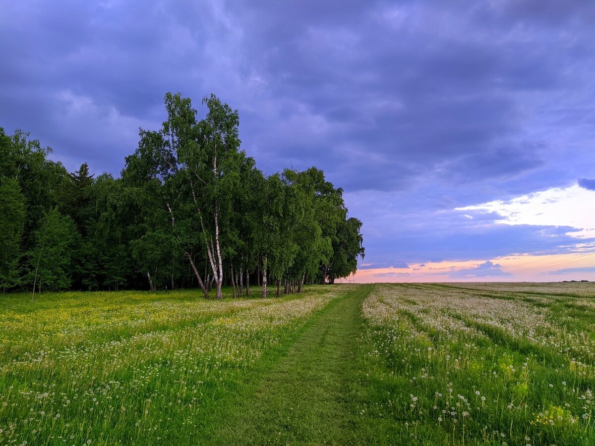 Летов на природе