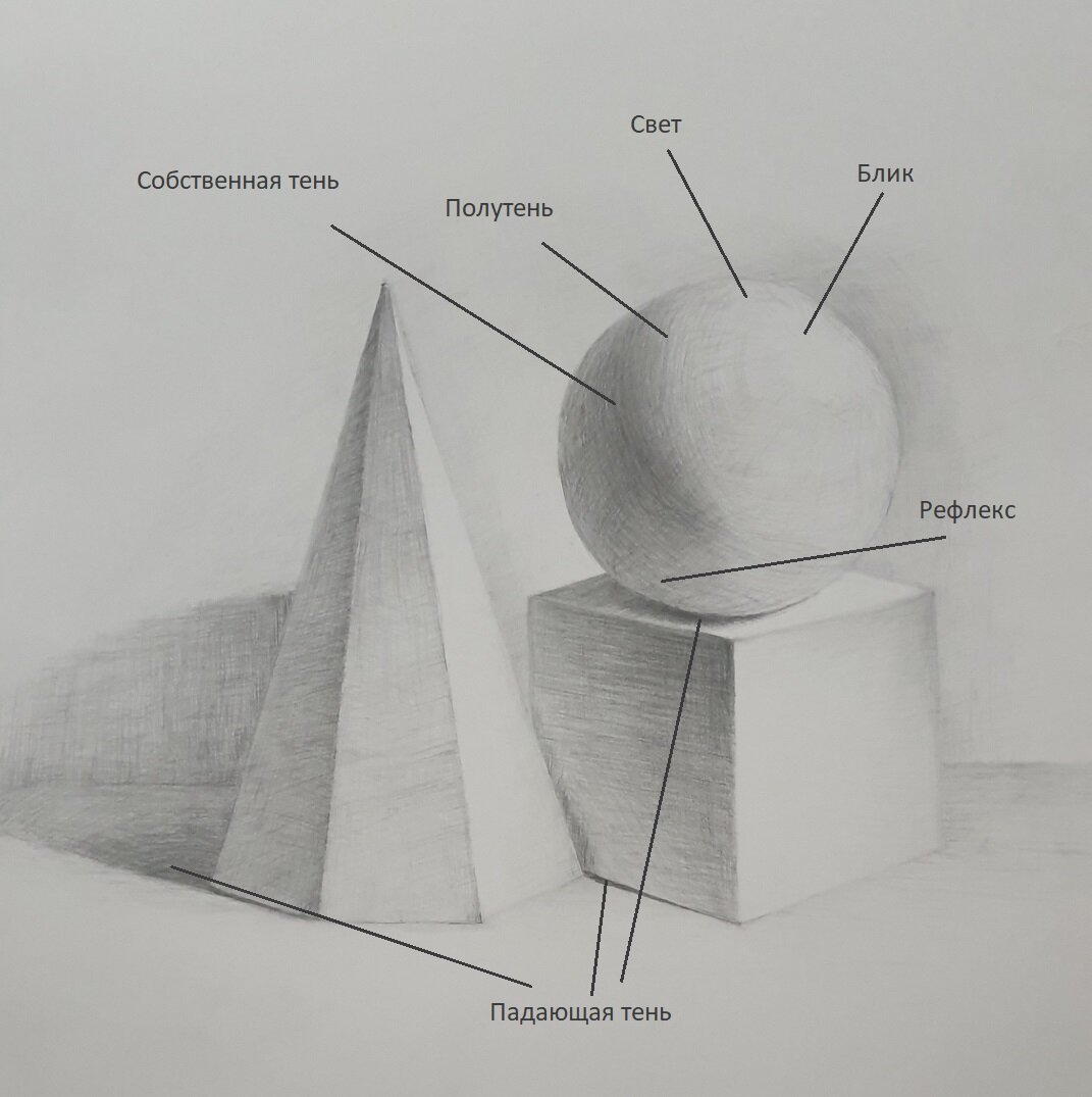 Тень и свет в рисунке: создание объёма и реалистичности | Рисование и  живопись | Дзен