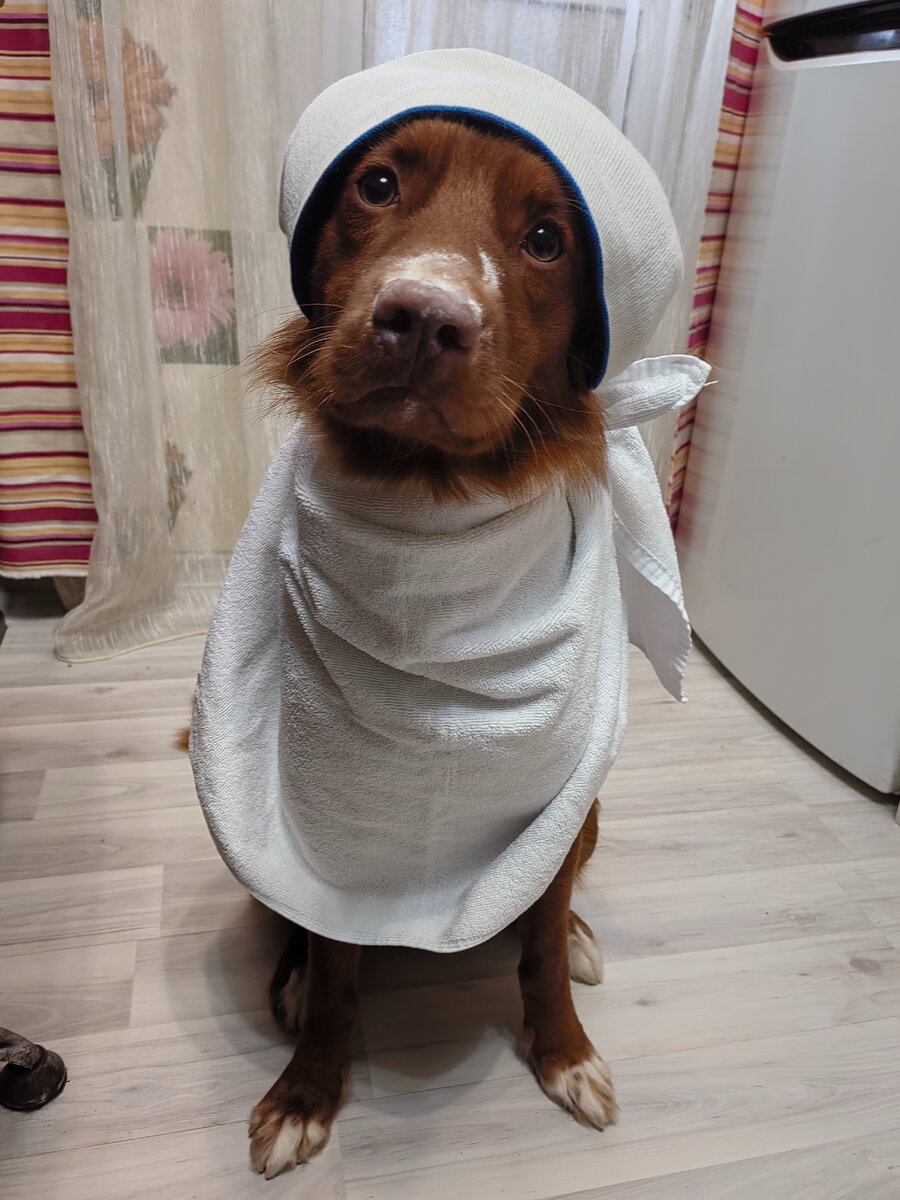 По санитарным нормам повара должны прятать волосы под косынку