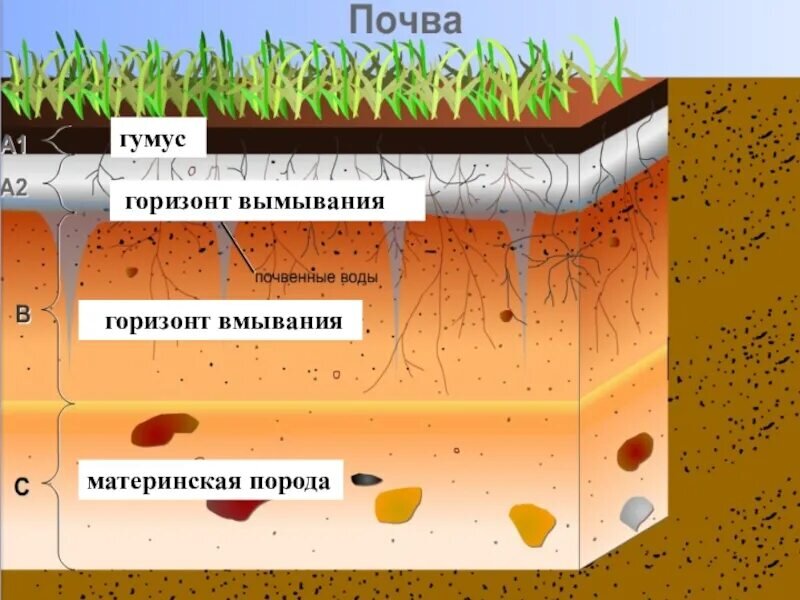 Органические вещества попадая в почву