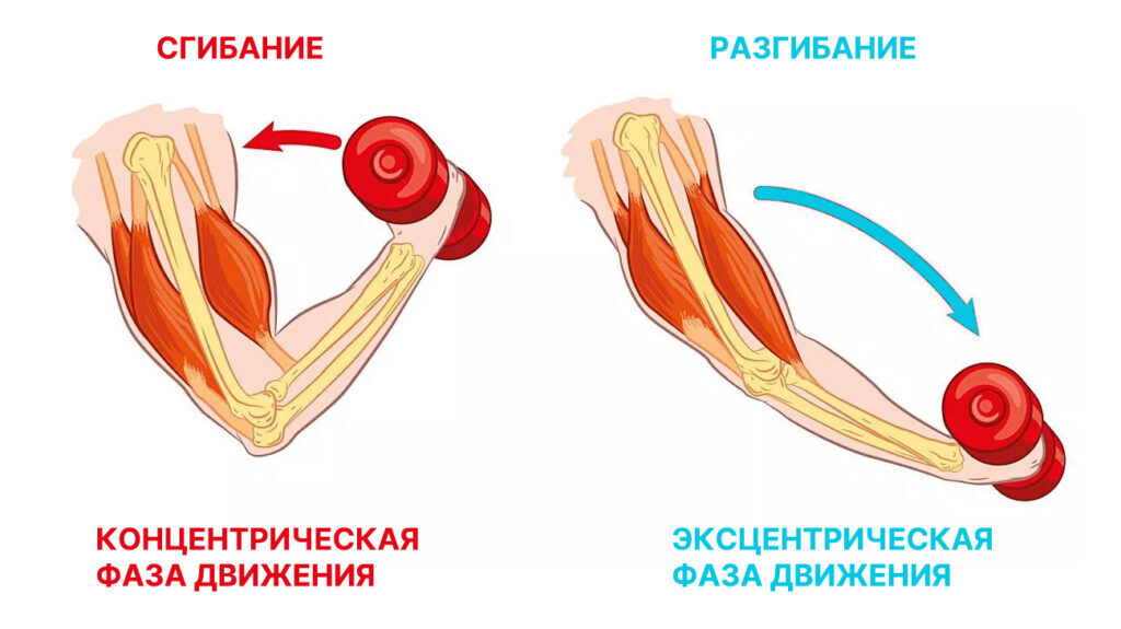 Боль в мышцах после тренировки что делать