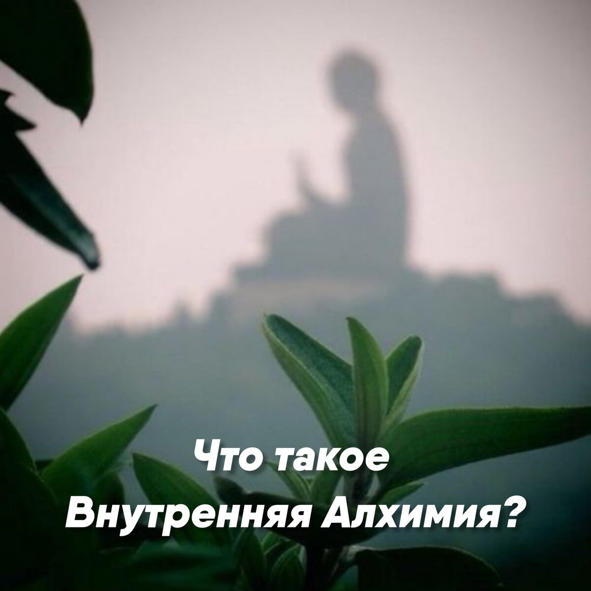 Что такое Внутренняя Алхимия? 🌀 | Мантек Чиа | Дзен