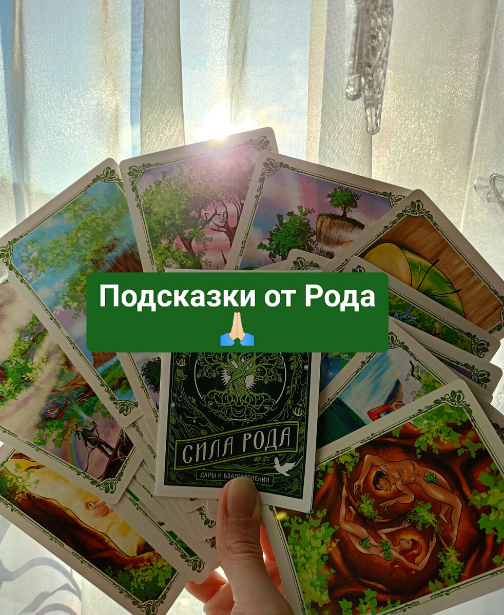 Сила рода. Дерево рода. Медитация кутхуми. Родовое дерево сила рода. Томаш ален копер.